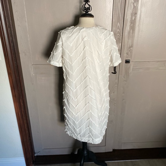 NWT Anthropologie Shift Dress - Picture 4 of 5
